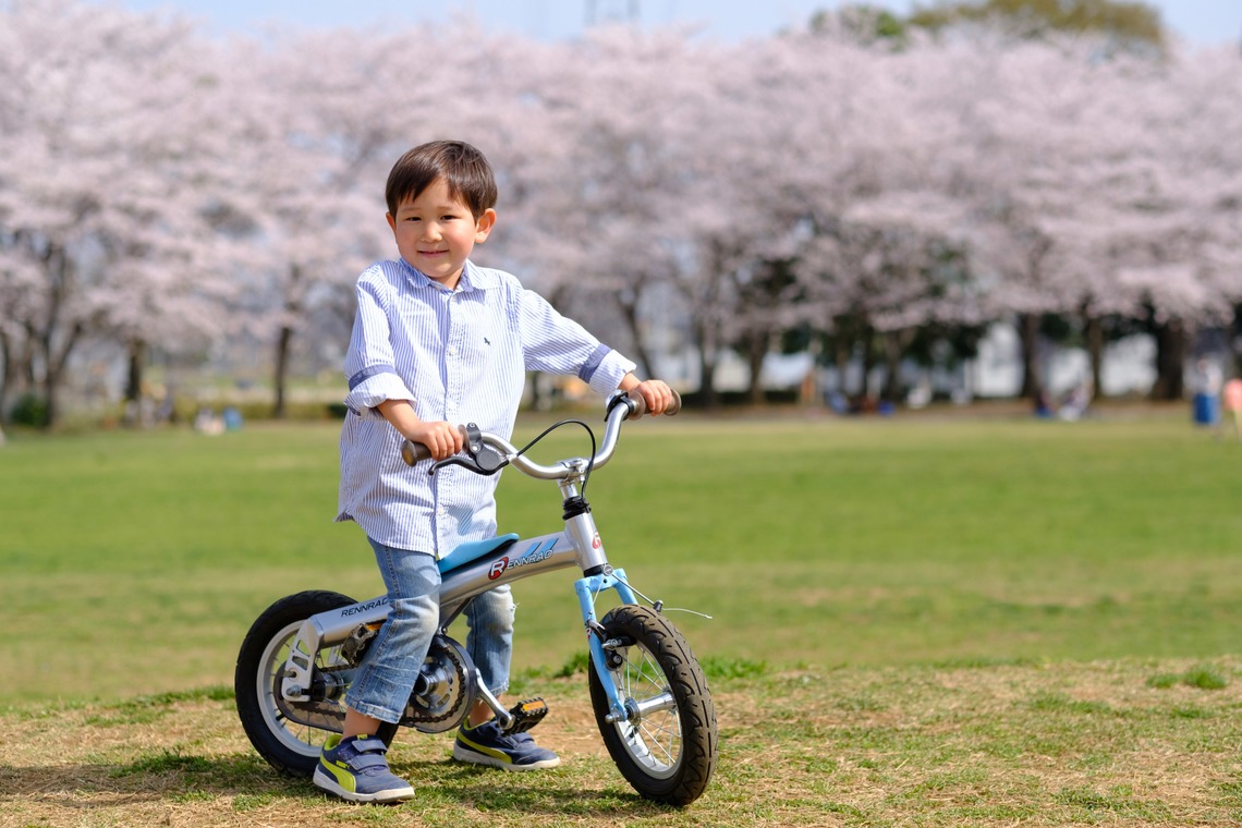 高野和希が撮影した「桜での家族フォト」の写真