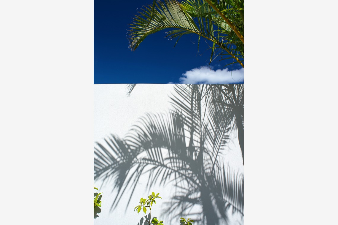 難波卓美が撮影した写真のアルバム「街角スナップ」