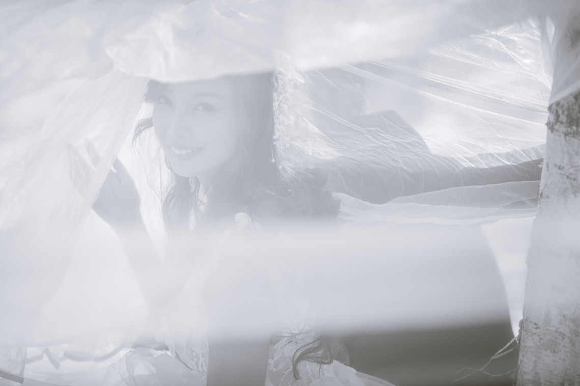 APKが撮影した写真のアルバム「冬のロケーション撮影　12月　札幌」