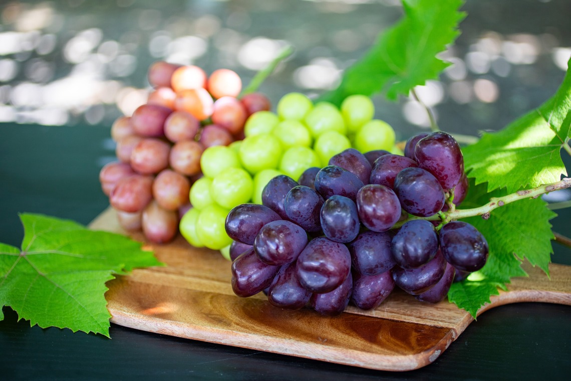 大森美紗生が撮影した写真のアルバム「農園宣材写真」