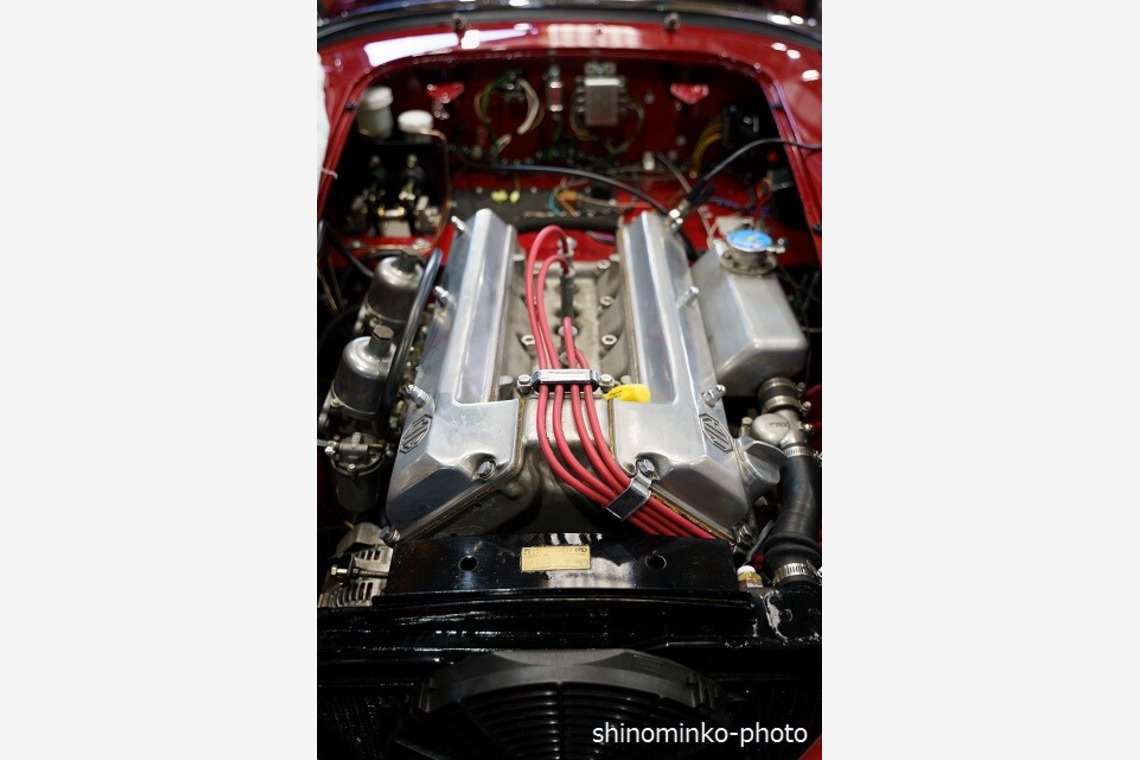 しのみんこフォトが撮影した写真のアルバム「店舗/オフィス/サロン撮影」