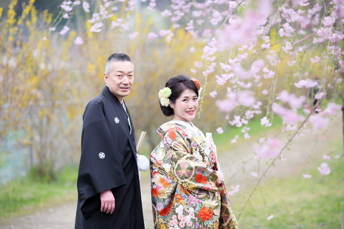 KIKIウェディングが撮影した写真のアルバム「桜　桜　桜」