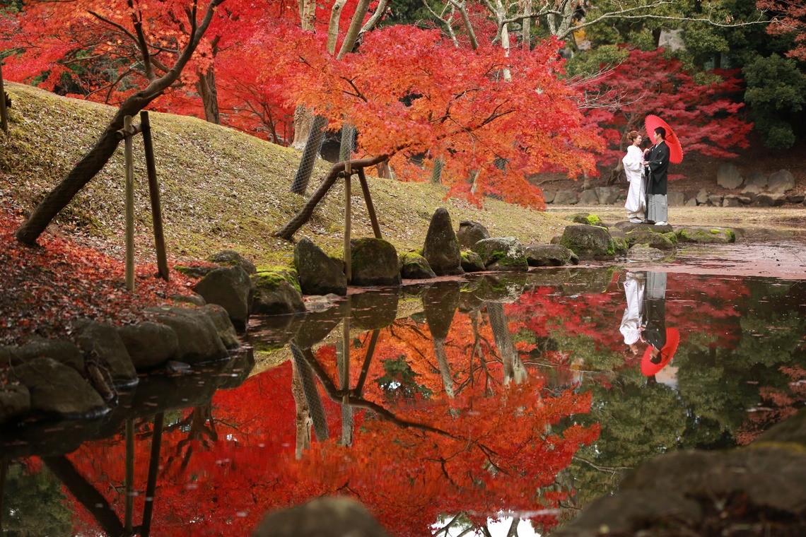 Photo of  taken by Hayashi Photo Works