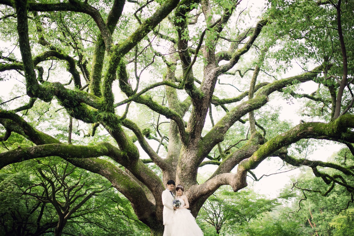 elle pupaが撮影した「京都（自然）」の写真