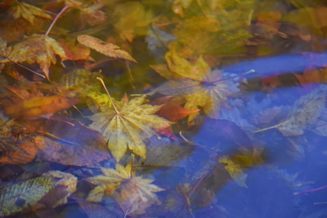 小野友輔が撮影した写真のアルバム「山の写真」