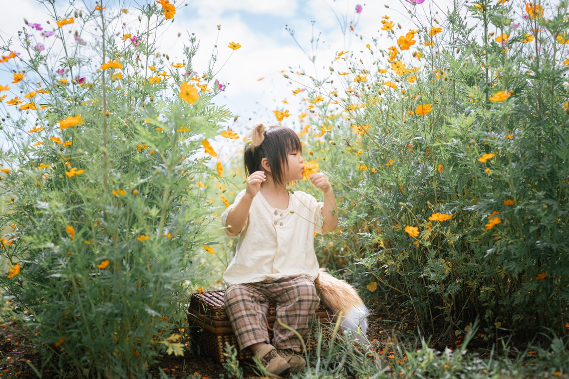 Memoriaが撮影した写真のアルバム「ファミリーフォト」