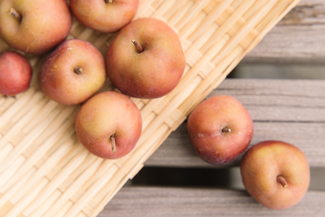 Aurora Photographyが撮影した「商品撮影」の写真