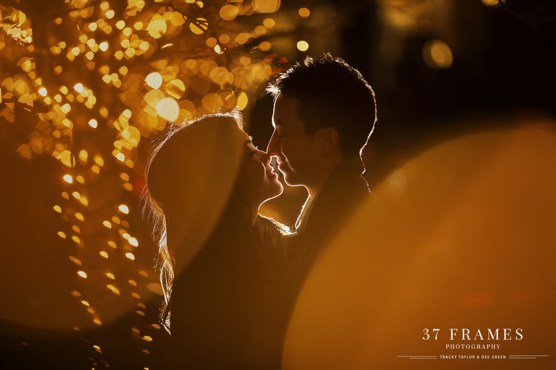 37 Frames Photographyが撮影した「フォトギャラリー」の写真