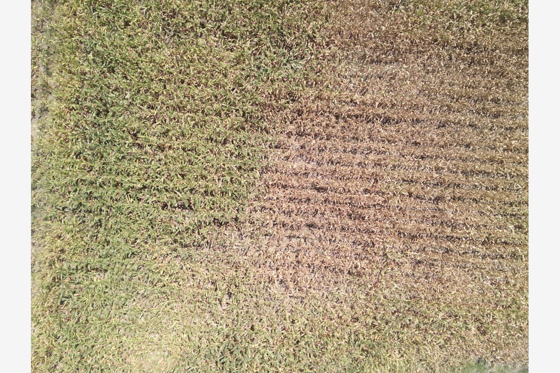 アナハイムエレクトロニクスが撮影した「震災農地調査」の写真