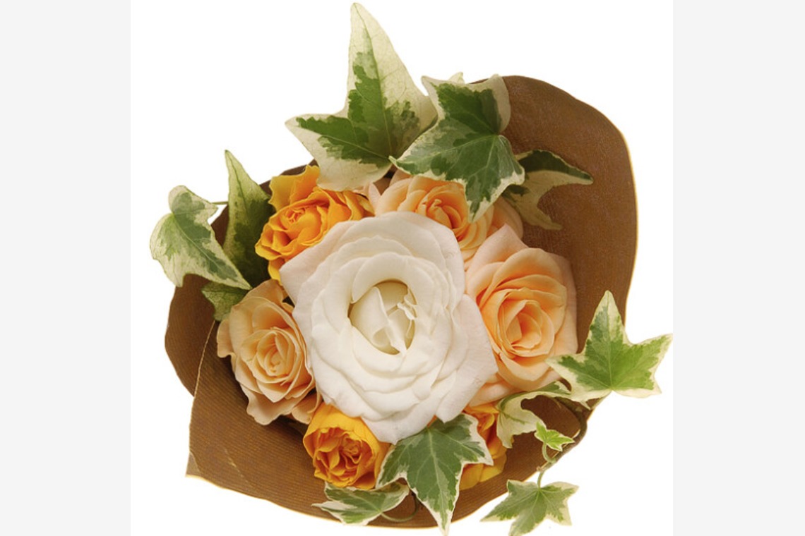 有限会社　澤田スタジオが撮影した写真のアルバム「花」