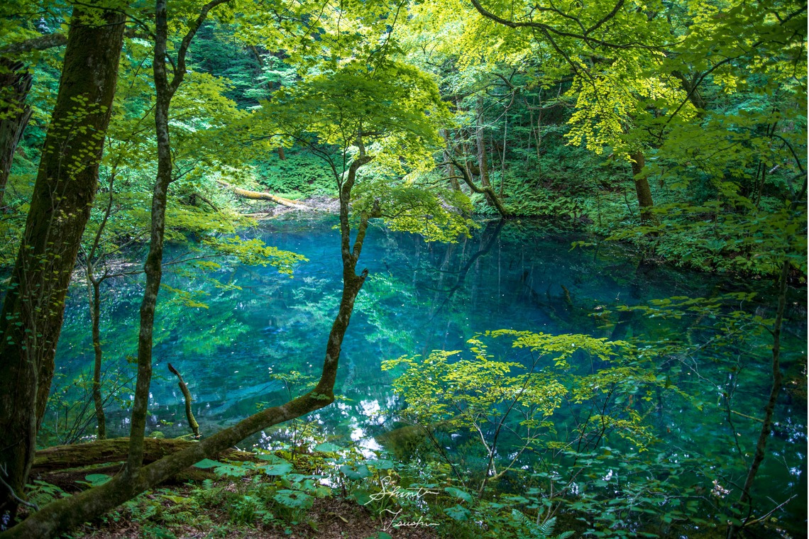 Shintaro Tsushimaが撮影した「風景」の写真