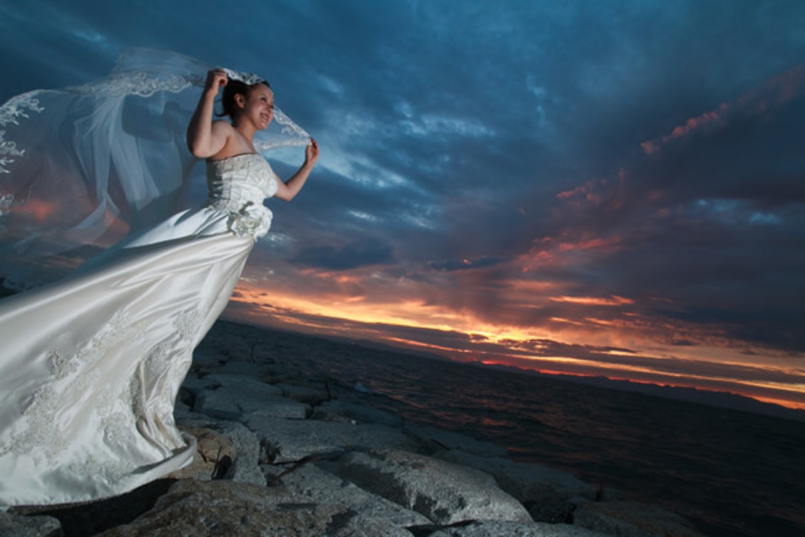 ピュアアーティス(小島 靖雄)が撮影した「その他フォト」の写真