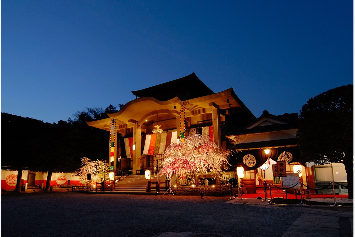 十時写真事務所が撮影した写真のアルバム「建築、店内」