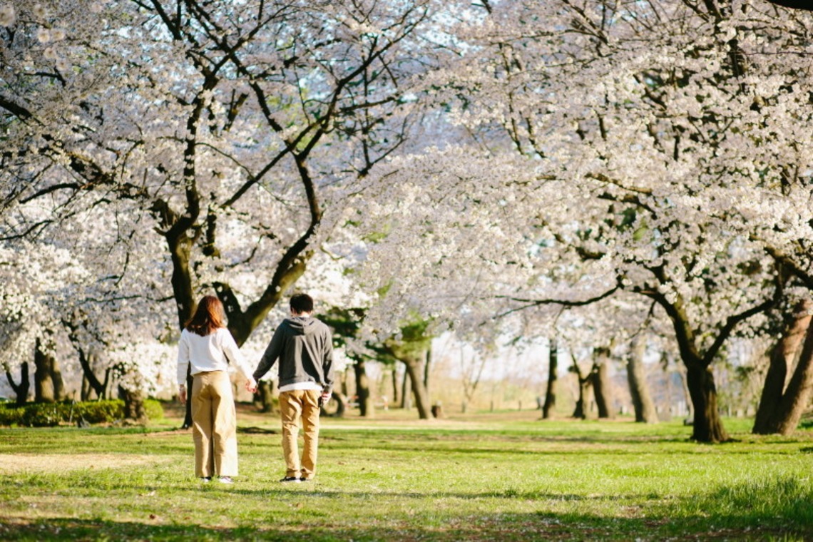 タカラモノ.foto　群馬の出張撮影カメラマンが撮影した写真のアルバム「桜エンゲージメントフォト at　群馬県前橋市」