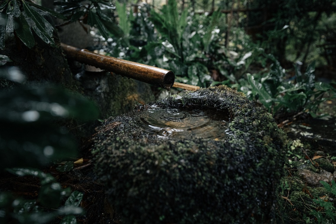 鈴木香那枝が撮影した写真のアルバム「京都府中川町の取材撮影」