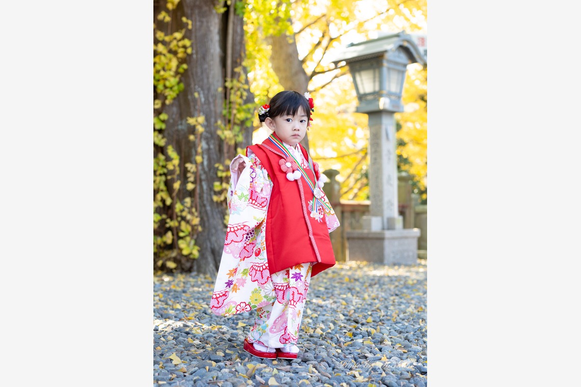 浅野真一が撮影した「七五三出張撮影（３歳）」の写真