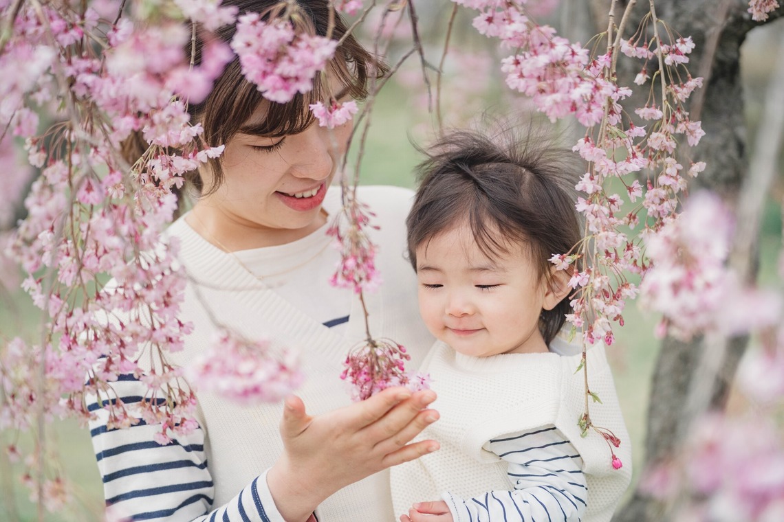 いしづか ちひろが撮影した写真のアルバム「桜ロケーション撮影/八戸」