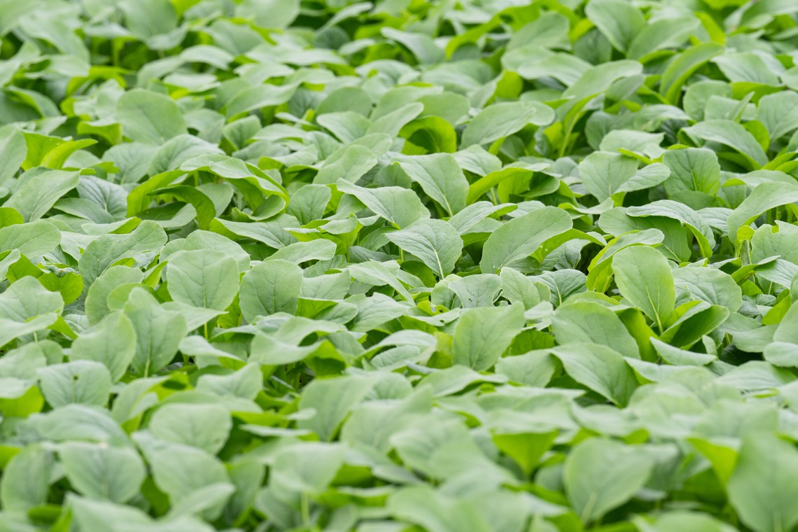 出張撮影TLaboが撮影した「求人用　職場風景の撮影」の写真