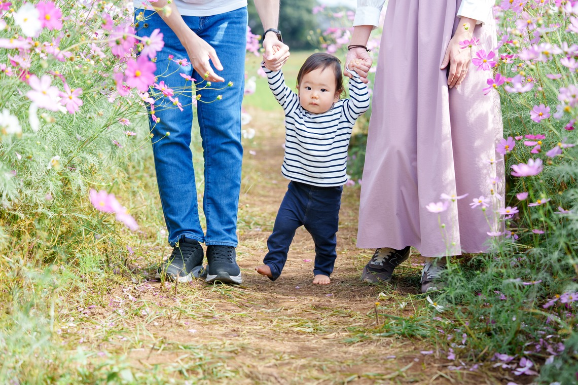 lino-'akaが撮影した写真のアルバム「コスモス」