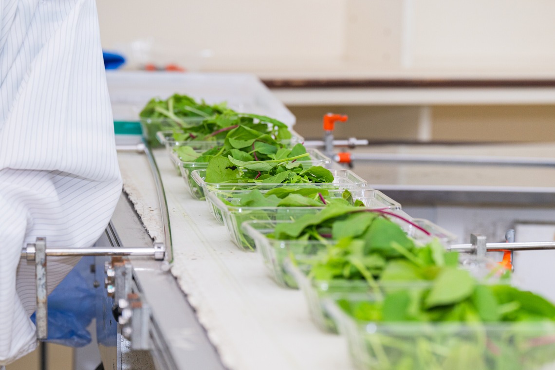 出張撮影TLaboが撮影した「求人用　職場風景の撮影」の写真