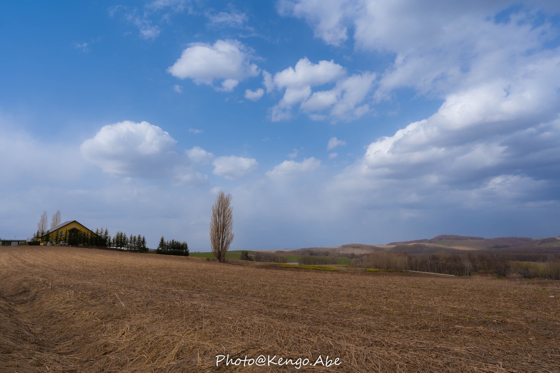 株式会社バックオフィスアクティ
