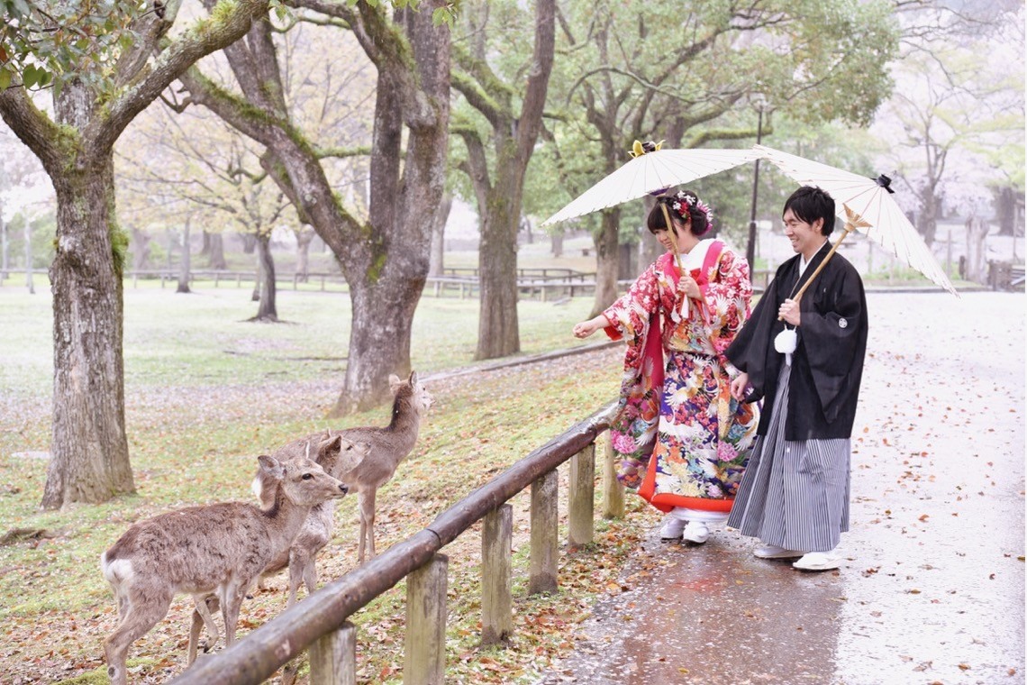 Photo of Pre Weddingphotoshoot in Nara park in the cherry blossom season taken by Kiki photo works