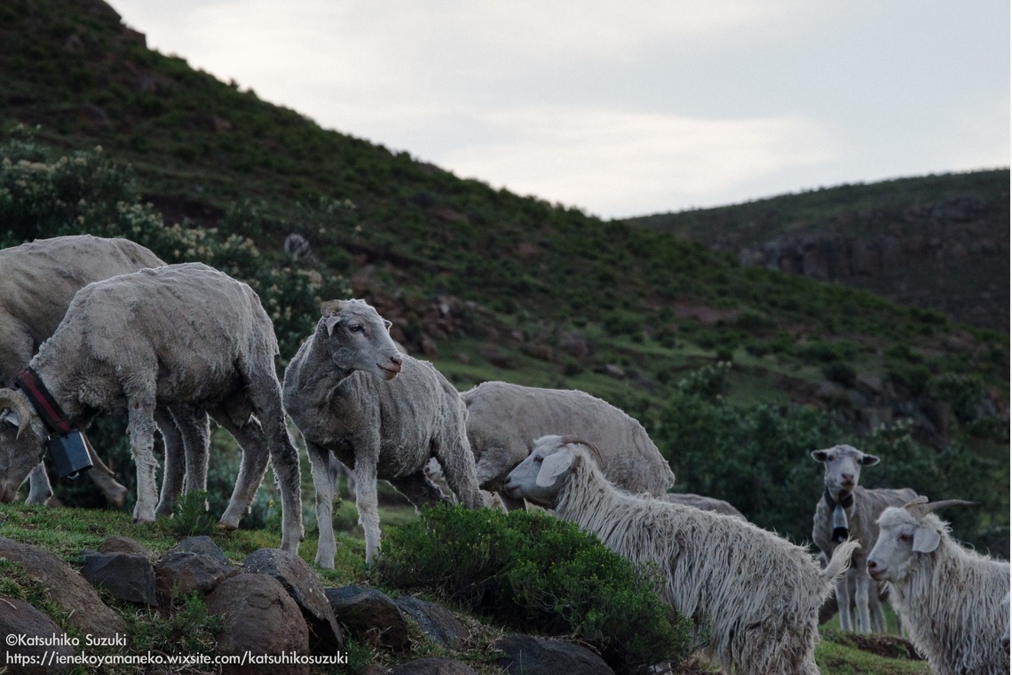 Katsuhiko Suzukiが撮影した写真のアルバム「レソト王国」