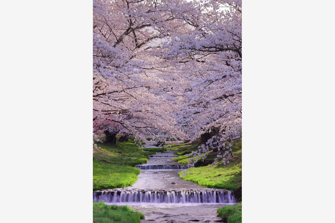 溝口崇が撮影した「風景写真」の写真