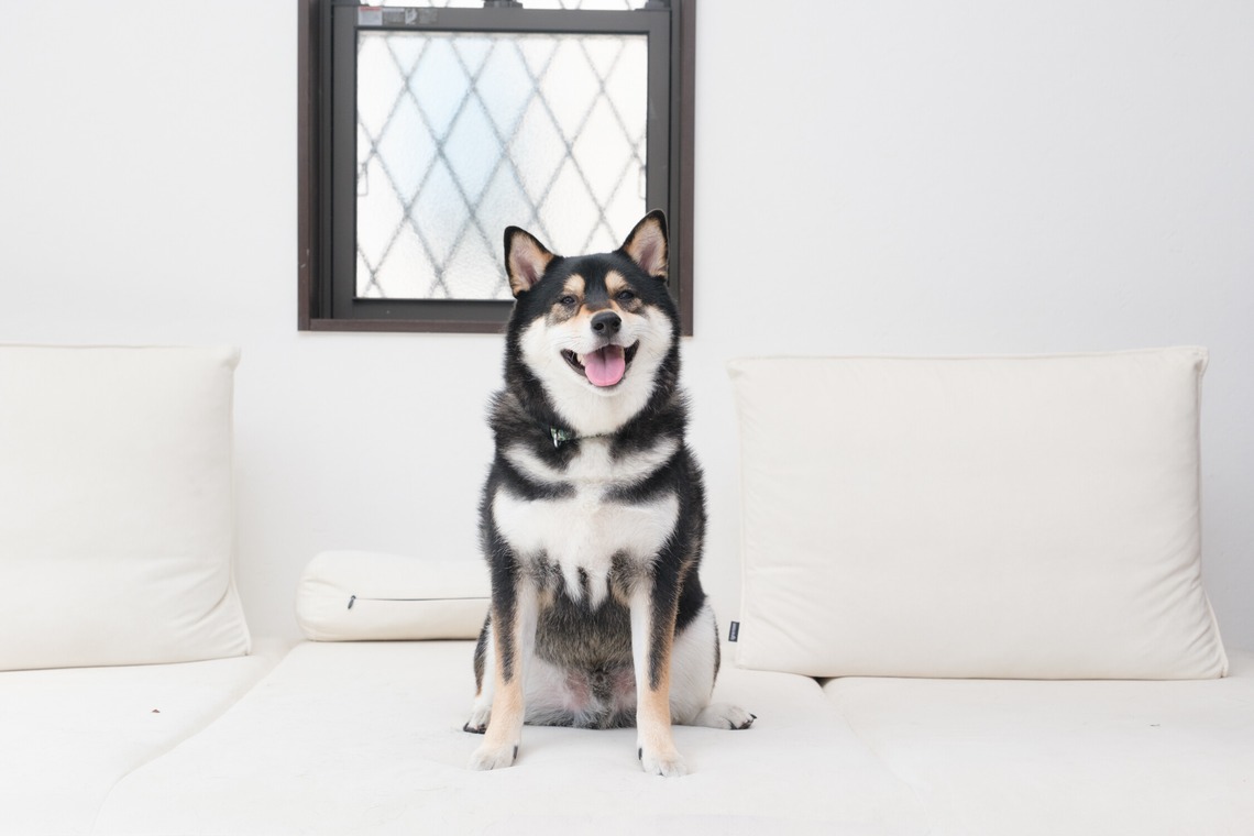 高夏写真店が撮影した「家族写真の撮影」の写真