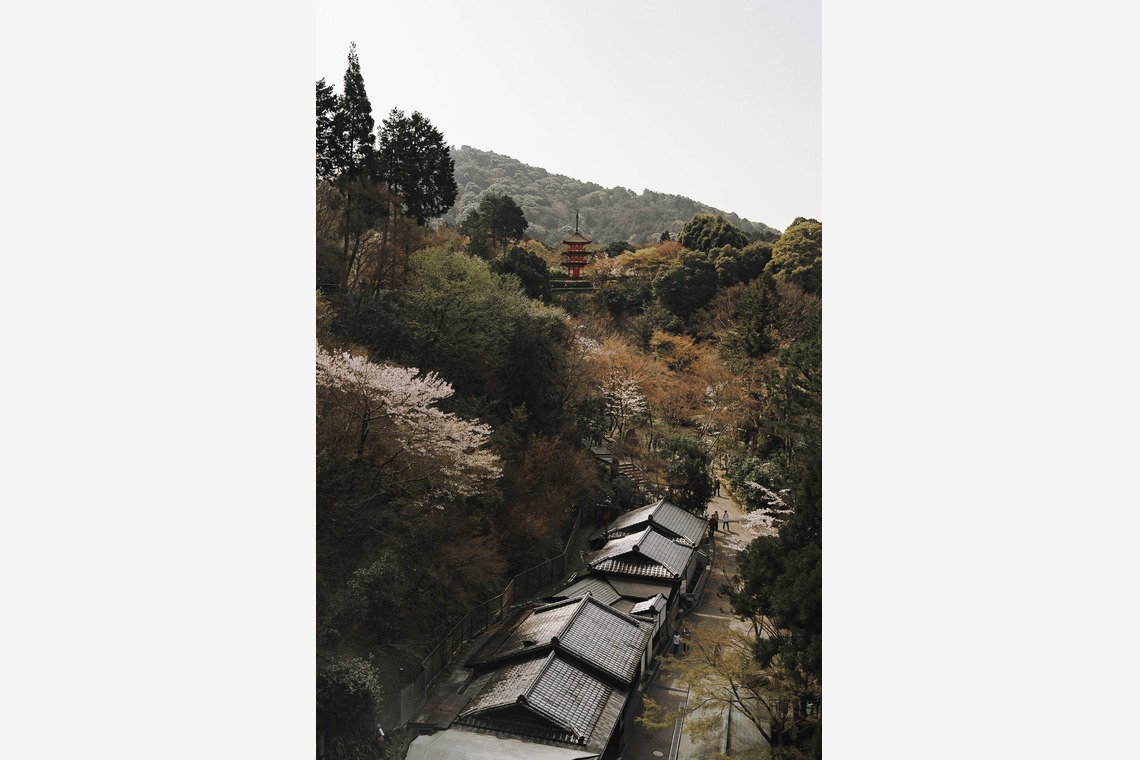 三谷 朋也が撮影した「日本の風景」の写真