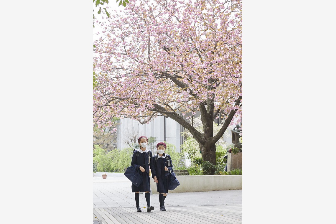 bluevalleyが撮影した「学校/幼稚園」の写真