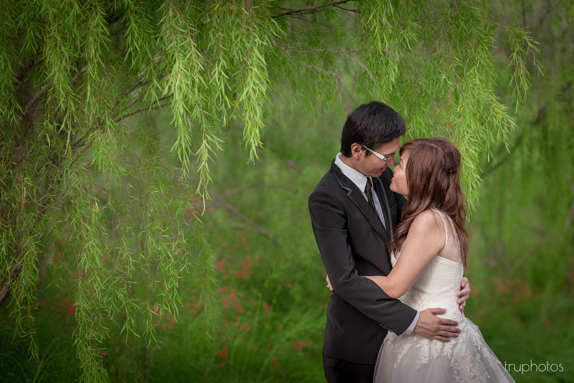 Truphotosが撮影した「シンガポール」の写真