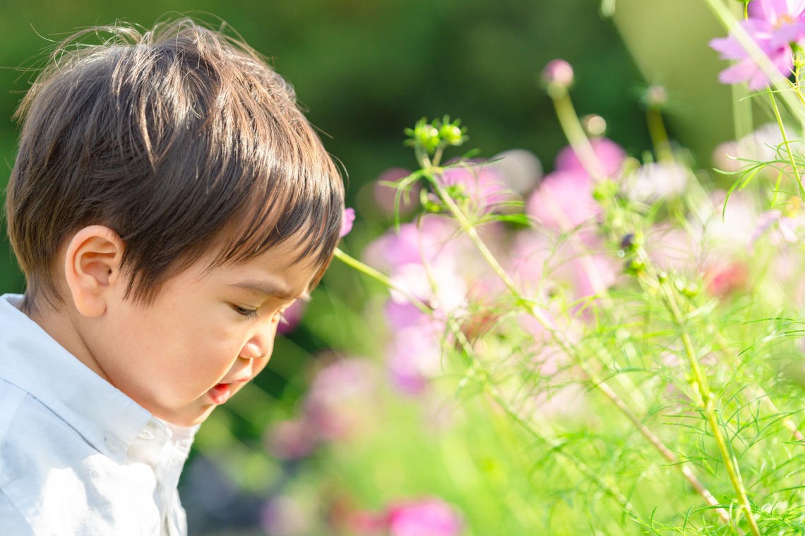 クリエイティブツリーが撮影した写真のアルバム「家族写真」
