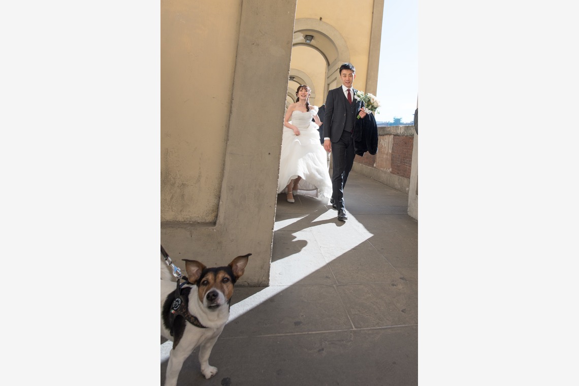 Album of the Wedding, Bridal taken by MOMO - Florence Wedding Location Photo