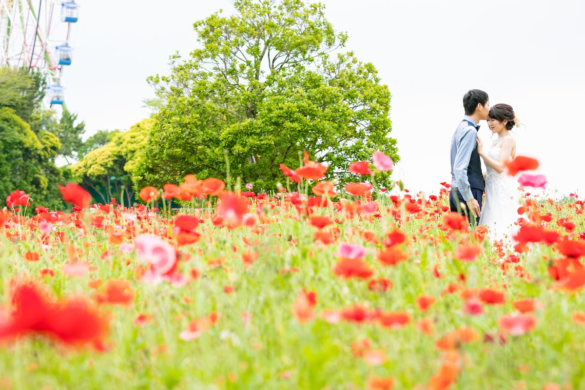 meganecco Photographyが撮影した「結婚式前撮り@ひたち海浜公園」の写真