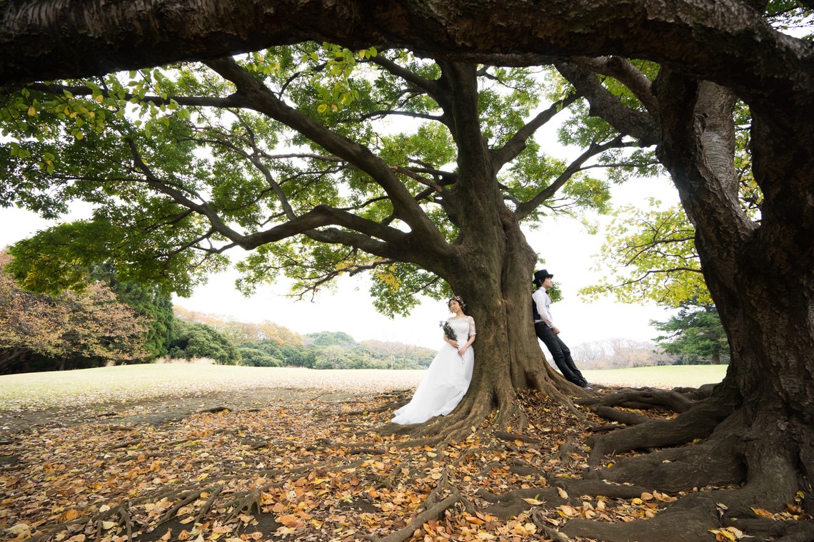 knot wedding photography