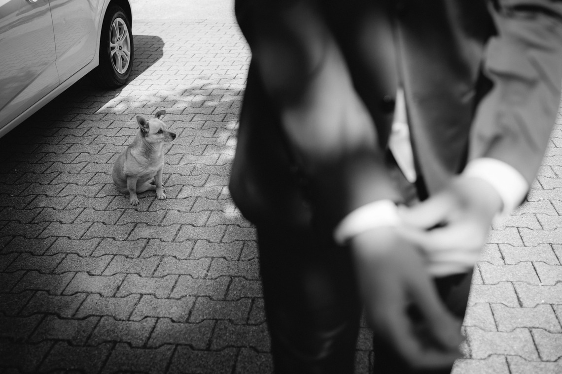 Photography Renato Zanetteが撮影した「イタリア」の写真