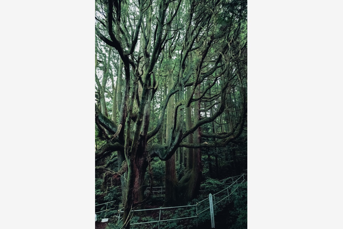 松村颯が撮影した「留学生活」の写真