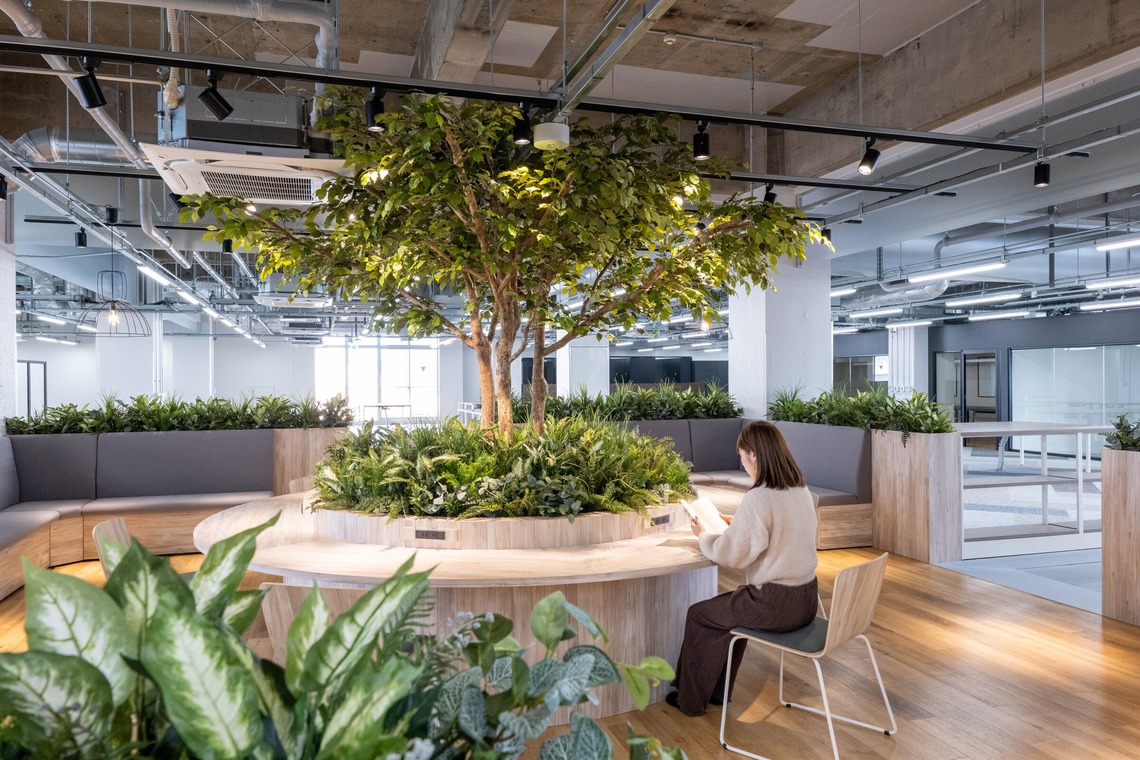 sutto imageが撮影した写真のアルバム「内装竣工写真」