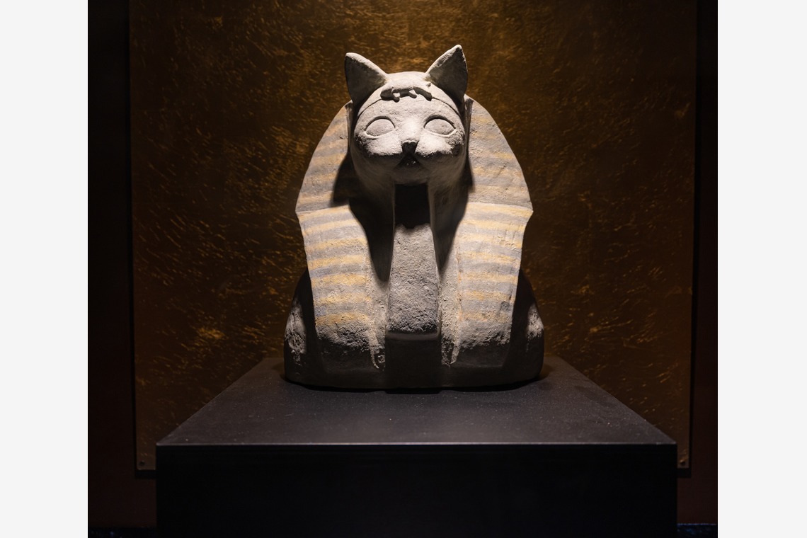 河野慈圓が撮影した「物撮り」の写真