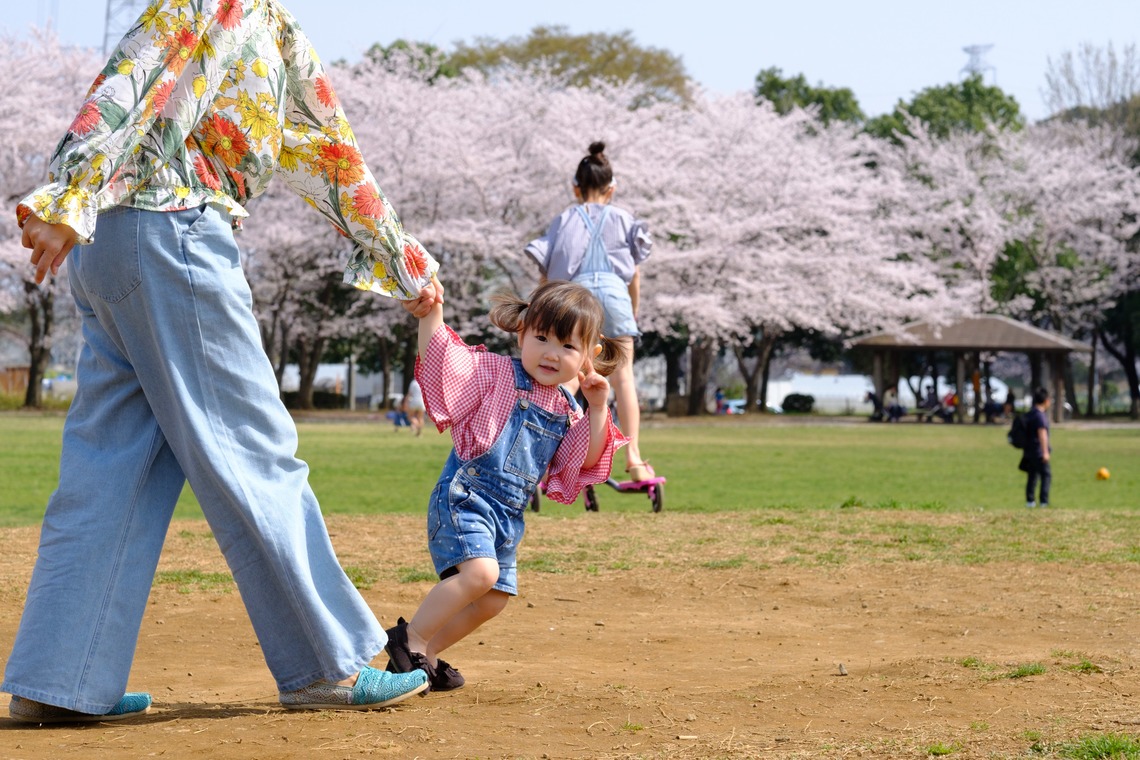 高野和希が撮影した「桜での家族フォト」の写真