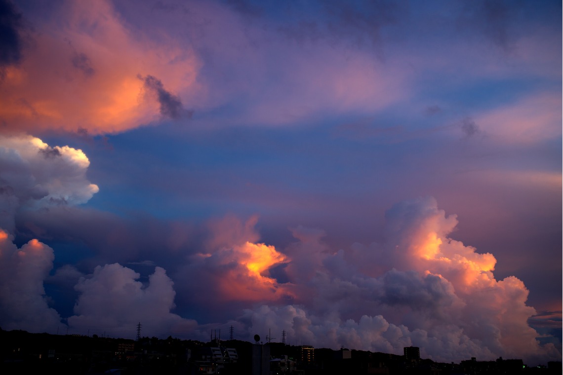 難波卓美が撮影した写真のアルバム「街角スナップ」