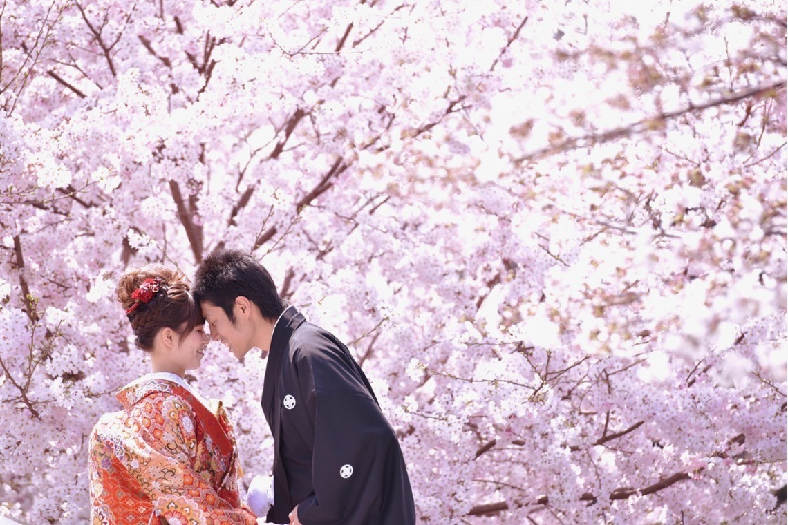 Album of the Wedding, Bridal taken by Kiki photo works - Pre Weddingphotoshoot in Nara park in the cherry blossom season