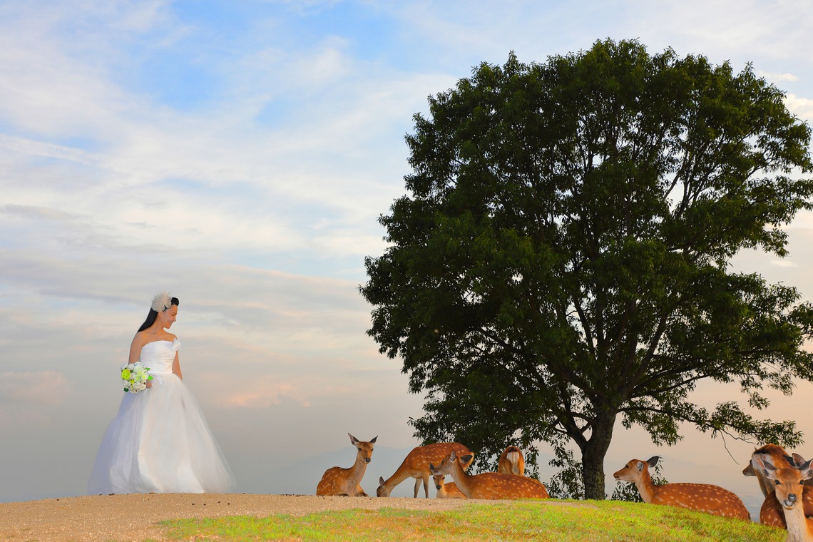 Photo of  taken by Rev Factory