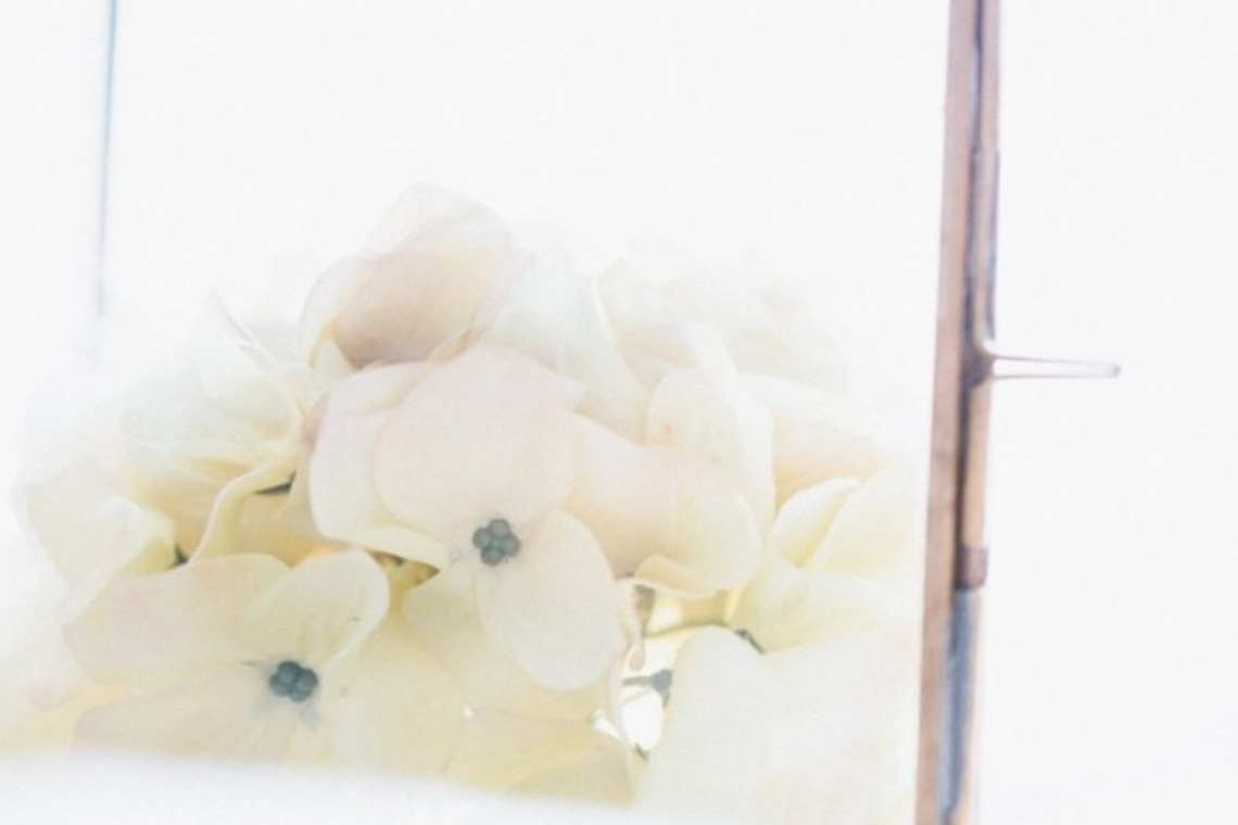 永井茂樹写真事務所が撮影した「フォトギャラリー」の写真