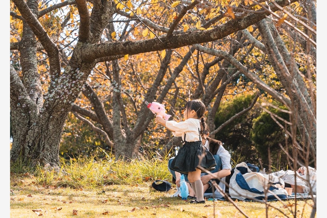 日下翔太郎が撮影した写真のアルバム「屋外でのお子様メインの家族写真」