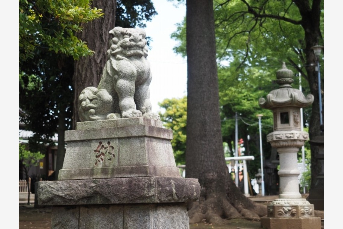 photo39.netが出張撮影した家族写真(キッズ,ベビーフォト)などが写った「お宮参り出張撮影 　東京都練馬区　豊玉氷川神社」の家族写真