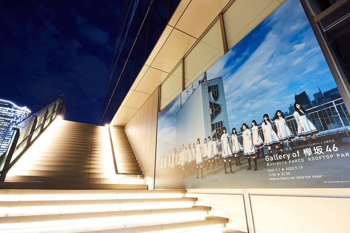 稲葉幸辰が撮影した写真のアルバム「夜空に輝く欅坂46」