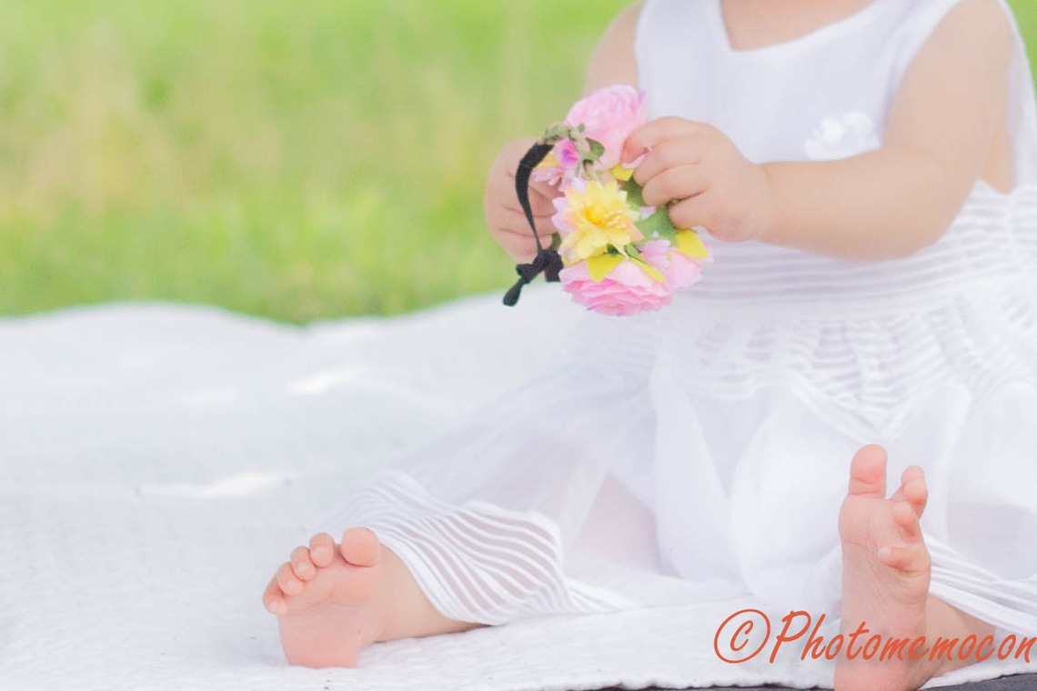 Photomemoconが撮影した「」の写真