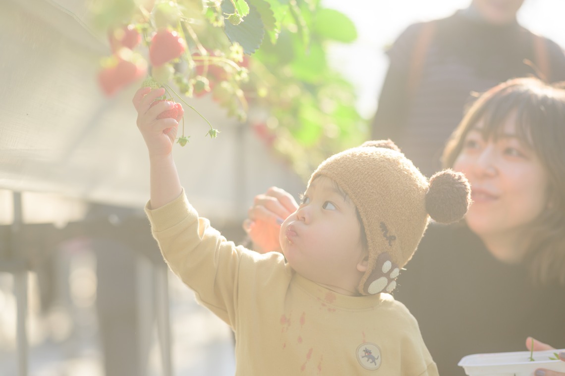 和Photographが撮影した「Family Photo」の写真